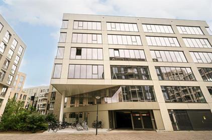 Apartment for rent 800 euro Rookmelderstraat, Amsterdam