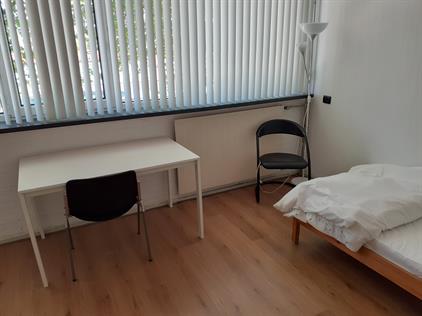 Room for rent 350 euro Brahmslaan, Delft