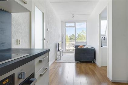 Wohnung zu vermieten 2400 Euro Meeuwenlaan, Amsterdam