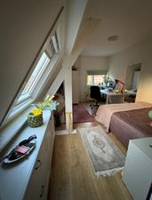 Room for rent 690 euro Rozenboomlaan, Voorburg