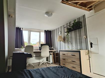 Room for rent 425 euro Dasstraat, Eindhoven