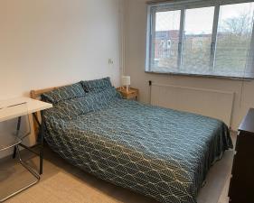 Room for rent 750 euro Carry Pothuis-Smitstraat, Amsterdam