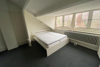Room for rent 545 euro Brusselsestraat, Maastricht