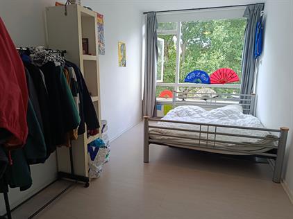 Room for rent 800 euro Vechtplantsoen, Utrecht