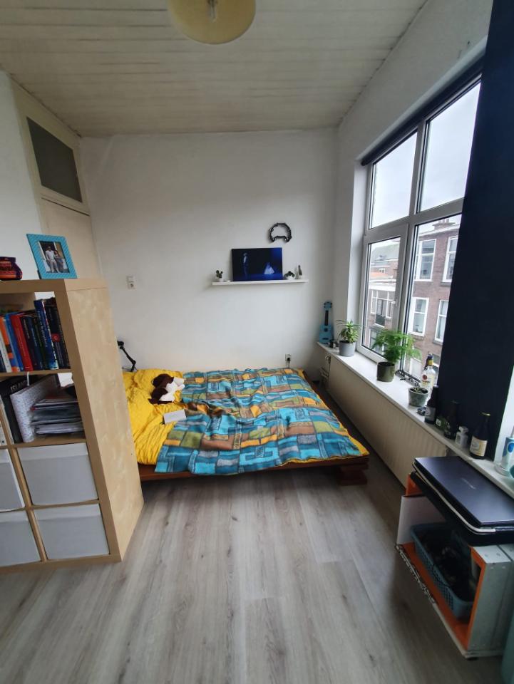 Kamer te huur in de Nicolaas Tulpstraat in Den Haag