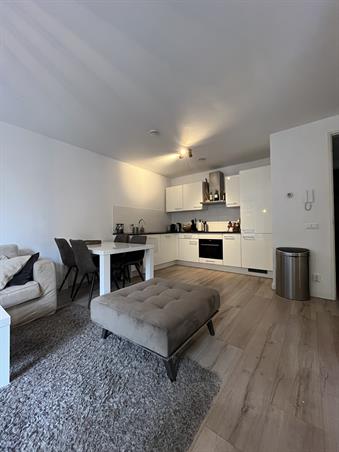 Zimmer bei Admiraliteitsstraat In Rotterdam