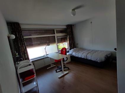 Kamer te huur 500 euro Daumierstraat, Eindhoven