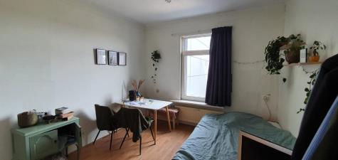 Room for rent 400 euro Willemsweg, Nijmegen