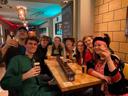 Room for rent 460 euro Van Hasseltlaan, Delft