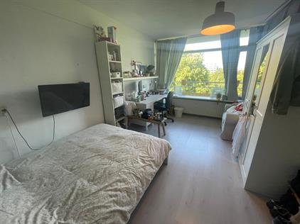 Room for rent 530 euro Louis Couperuslaan, Delft