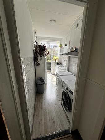 Zimmer bei Asselijnstraat In Utrecht