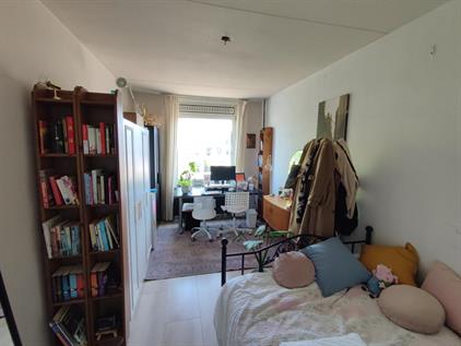 Room for rent 370 euro Pelikaanhof, Leiden