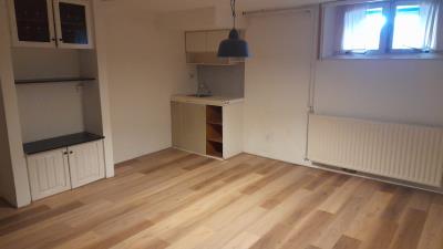 Room for rent 700 euro Berg en Dalseweg, Nijmegen