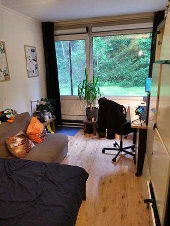 Zimmer bei Witbreuksweg In Enschede