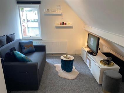 Room for rent 620 euro Jhr. Nedermeijer van Rosenthalweg, Oosterbeek