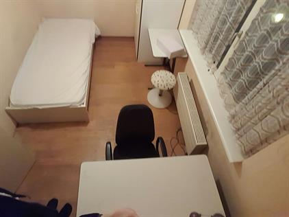 Room for rent 450 euro Theresiastraat, Delft