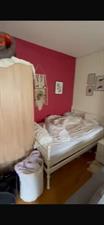 Room for rent 500 euro Parkweg, Groningen