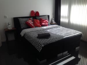 Room for rent 1000 euro Tobias Asserlaan, Diemen