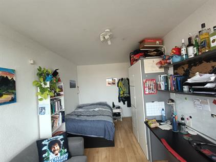 Room for rent 368 euro Zweringweg, Enschede