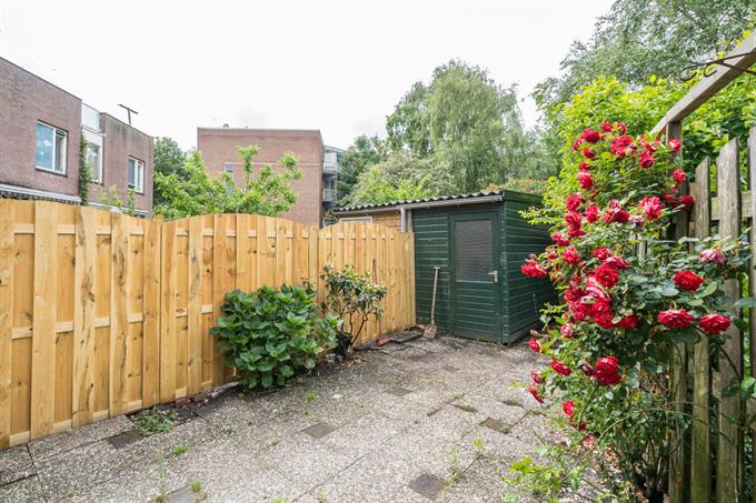 Zimmer bei Pieter Bothstraat In Den Haag