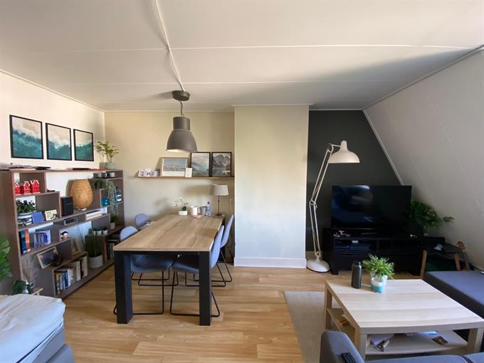 Zimmer bei St. Annastraat In Nijmegen
