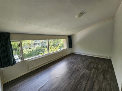Room for rent 850 euro Pijperring, Delft