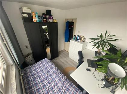 Room for rent 316 euro Tarwelaan, Eindhoven