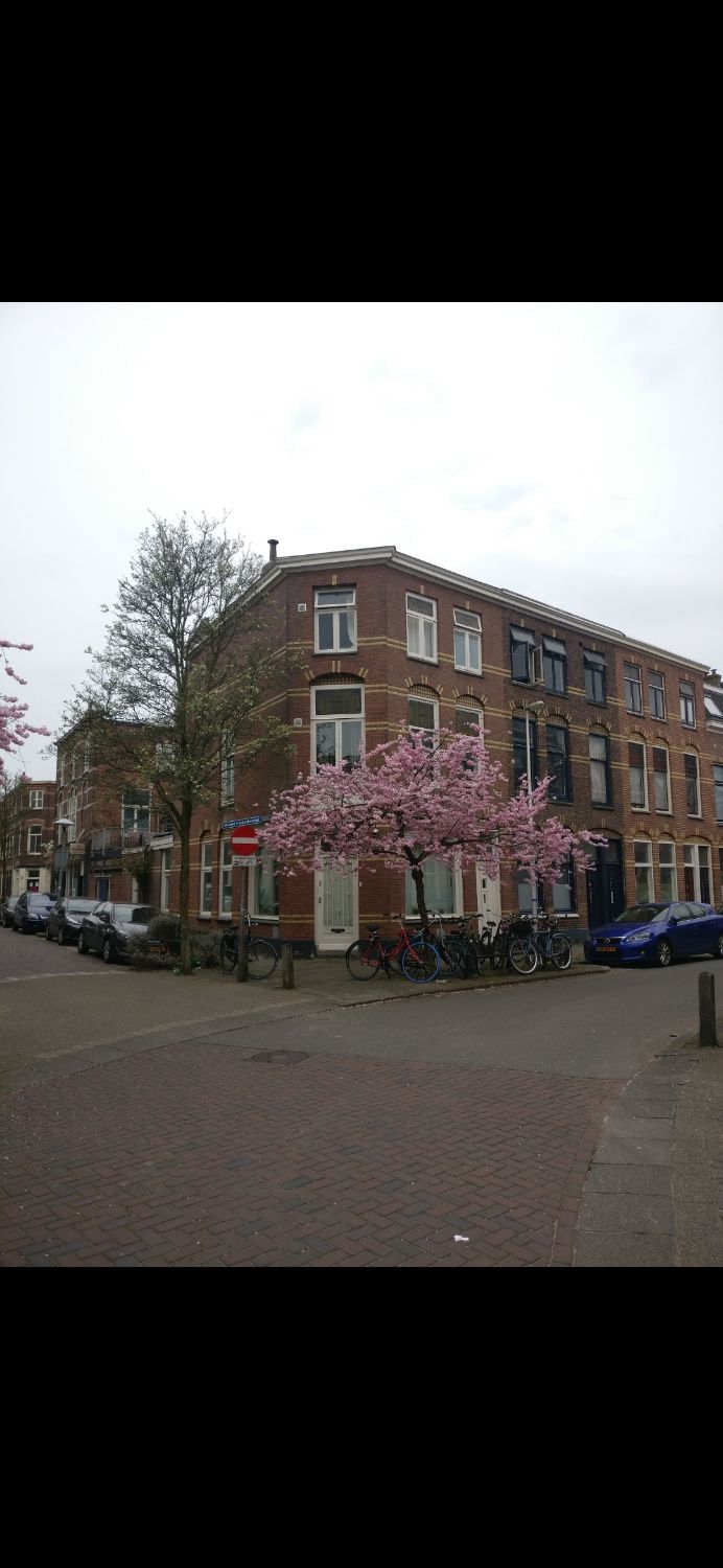 Kamer te huur in de Valkstraat in Utrecht