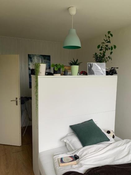 Room for rent 502 euro Primulalaan, Waalre