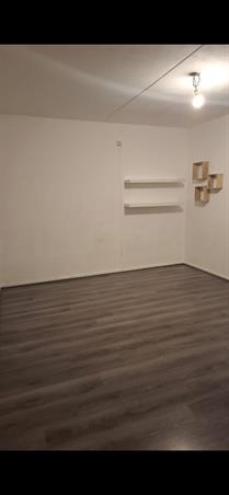 Zimmer bei Perosistraat In Tilburg