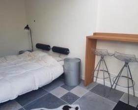 Studio for rent 1200 euro Cornelis van Alkemadestraat, Amsterdam