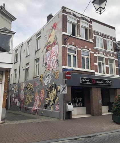 Appartement te huur 1050 euro Rozemarijnstraat, Breda