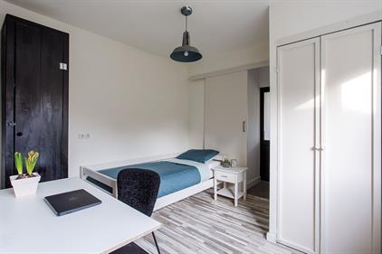 Kamer te huur 550 euro Paardebloem, Borne