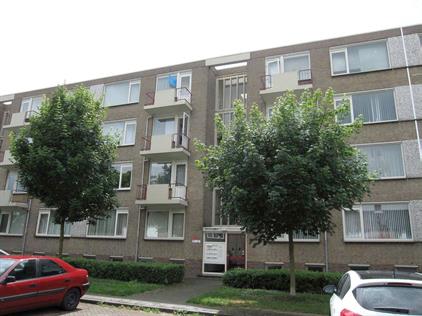 Room for rent 495 euro Zeepziedersdreef, Maastricht