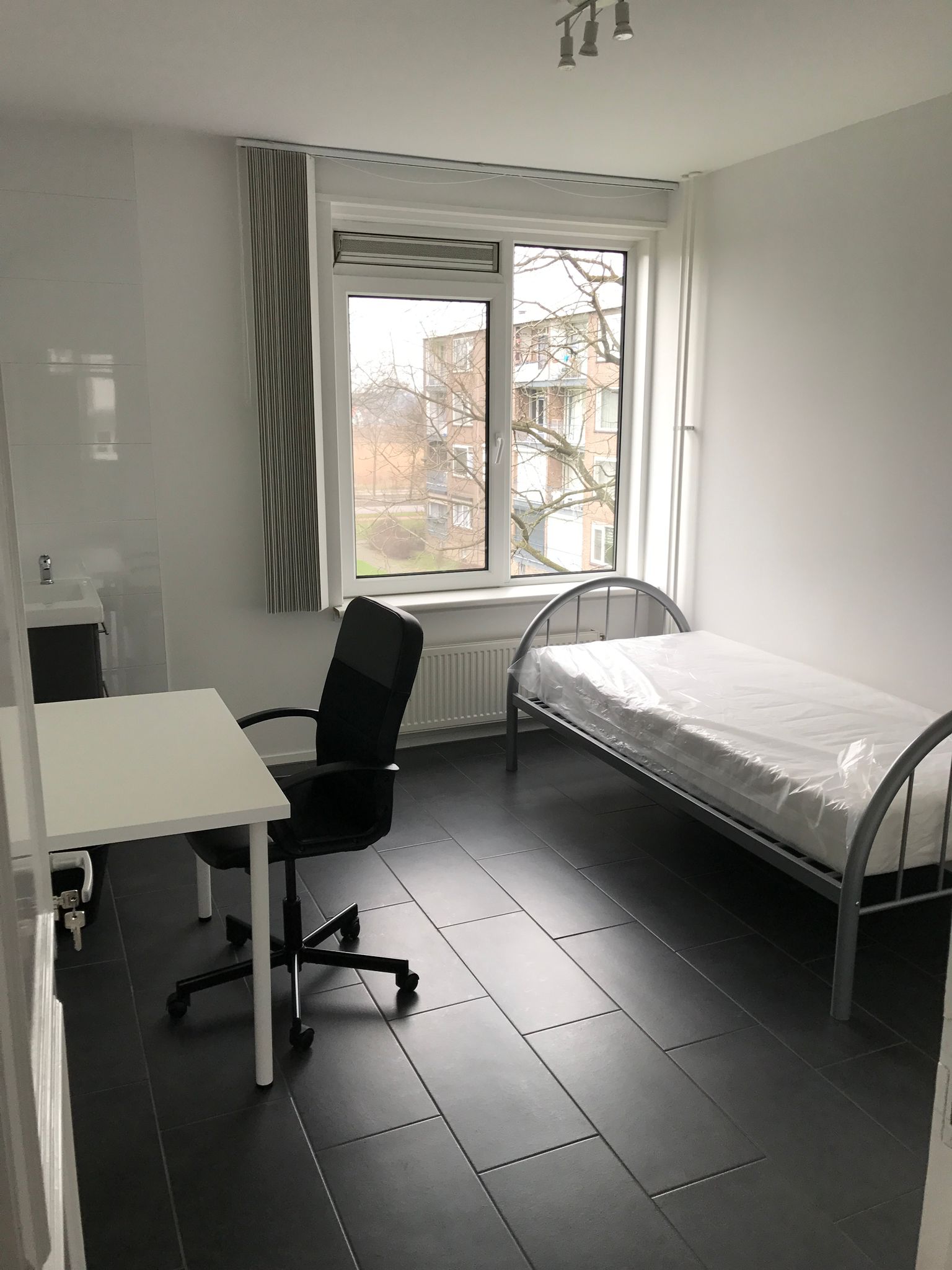 Socratesstraat