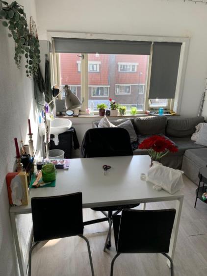 Kamer te huur 600 euro Amsterdamsestraatweg, Utrecht