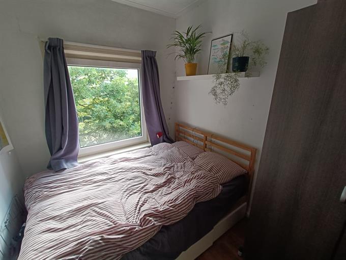 Zimmer bei Petrus Campersingel In Groningen