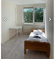 Room for rent 455 euro Hanenberglanden, Enschede