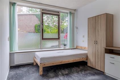 Apartment for rent 1350 euro Burgemeester Gijsenlaan, Schiedam