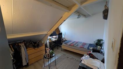Room for rent 600 euro De Bosch Kemperlaan, Amersfoort