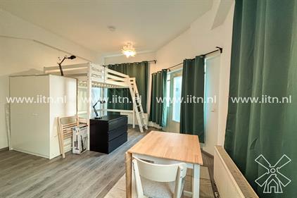 Studio for rent 1495 euro Gouwestraat, Den Haag