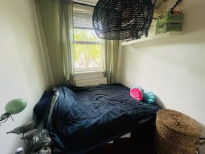 Room for rent 700 euro Willem de Zwijgerlaan, Amsterdam