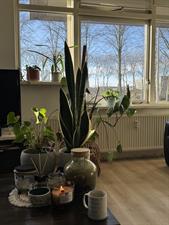 Apartment for rent 1100 euro Amsterdamsestraatweg, Utrecht
