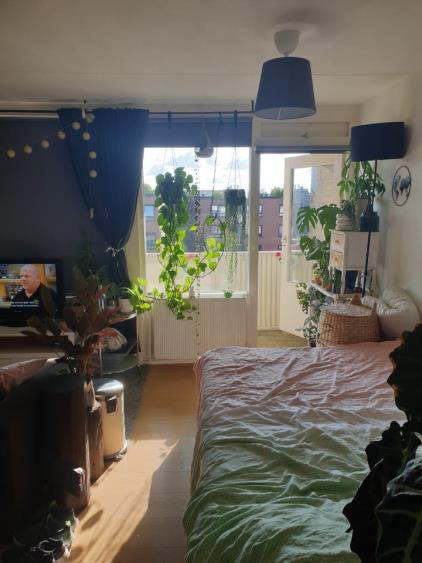 Kamer te huur 425 euro Zonnelaan, Groningen