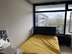 Room for rent 700 euro Wipmolen, Amsterdam