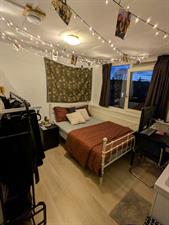 Room for rent 550 euro Nicolaas Pieckstraat, Tilburg