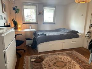 Room for rent 1200 euro Zeeburgerstraat, Amsterdam