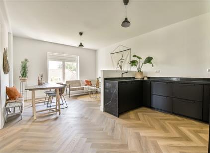 Apartment for rent 1350 euro Kraaienplein, Amsterdam