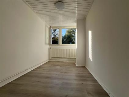 Room for rent 515 euro Dillingecamp, Emmen