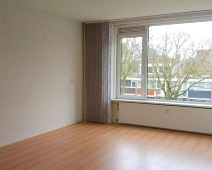 Room for rent 680 euro Philip Vingboonsstraat, Rotterdam